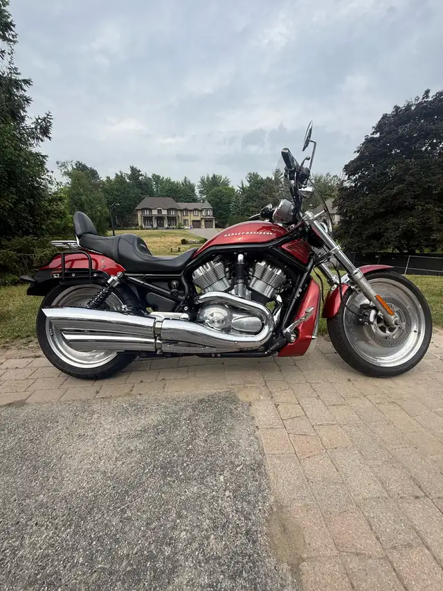 2005 Harley-Davidson V-Rod in Street, Cruisers & Choppers in Markham / York Region - Image 3