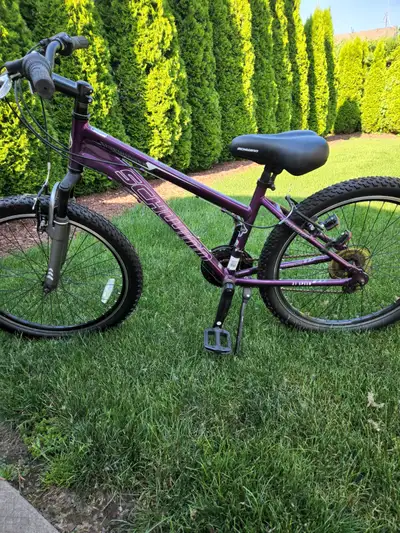 Like New Girls Bike Schwinn 24 inch, View more