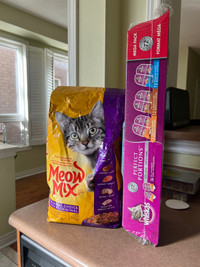 CAT FOOD: WET AND DRY BUNDLE FOR GOOD PRICE  