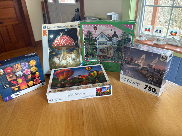 5 Puzzles in Hobbies & Crafts in Moncton