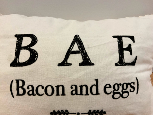 Brand New Throw Pillow BAE (Bacon And Eggs) By Urban Loft in Home Décor & Accents in Barrie - Image 2