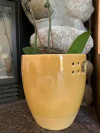 Ceramic Planter | Plant Pot