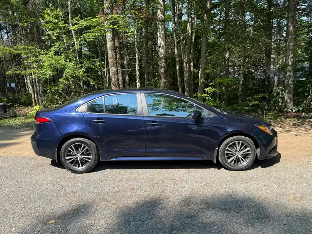 2022 Corolla LE513987910493153283