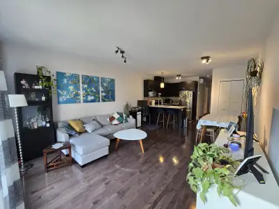 Charming & Modern 3.5 in La Petite-Patrie