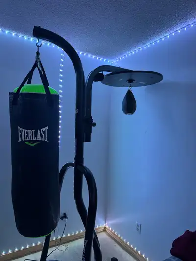 Professional Everlast Punching Bag, View more