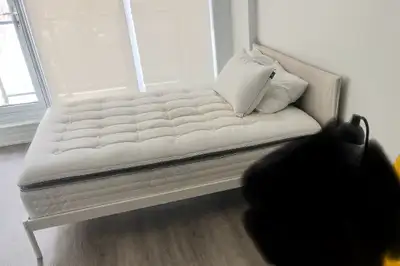 Bed (Frame, headboard, mattress + side table) = $500.00 ***Can be sold individually*** Queen Bed Fra...