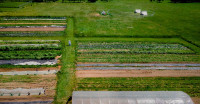 Organic Garden Space For Rent PENDING