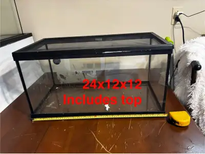 terrariums - various sizes , View more