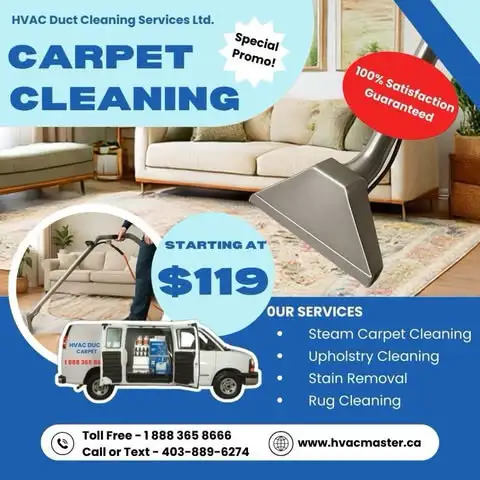 Professy Carpet Steam Cleaning628637138822431225