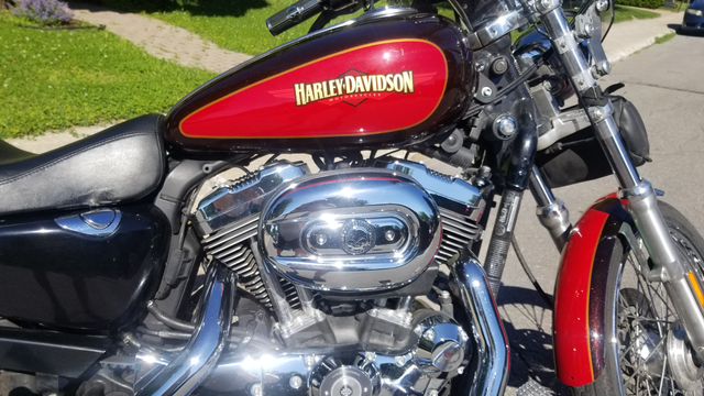 SPORTSTER 1200, 2010, 23000kms in Touring in Laval / North Shore - Image 3