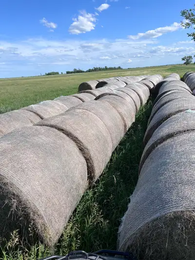 100 2024 hay bales for sale. baled up with no rain. $0.05 per pound. Bales average 1200 lbs. might b...