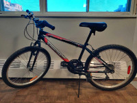 Supercycle mountain bike 24 in