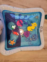 Baby Einstein Water Mat for babies