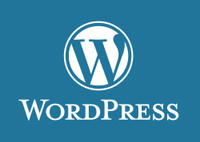 Wordpress Professional Available To Fix Your Website
