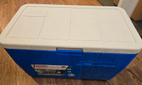 Colemann Chest Cooler for sale