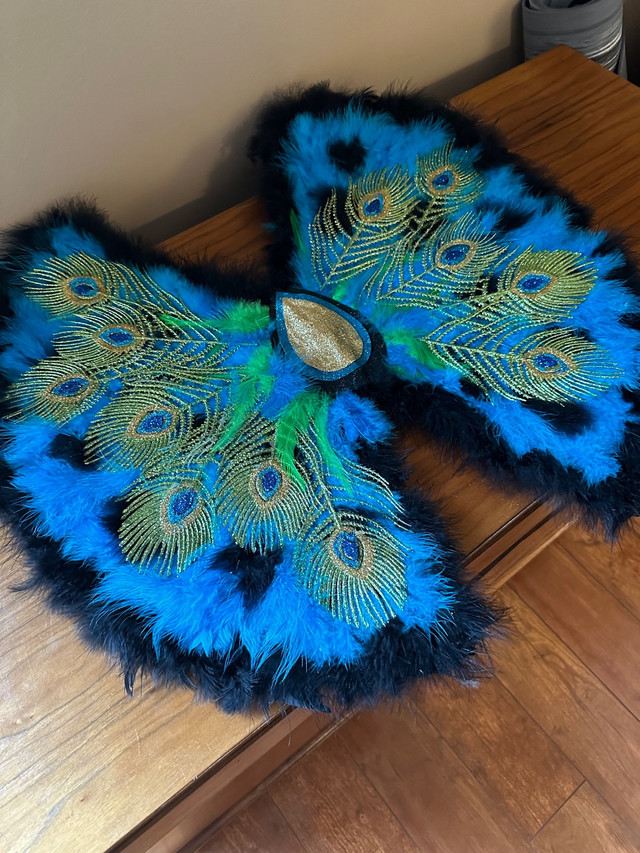 Beautiful peacock costume wings for kids – 22 x 24“  in Costumes in Saskatoon - Image 2