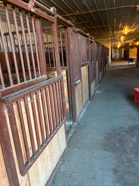 horse stalls 12 horse Stalls