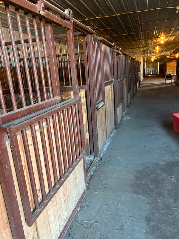 horse stalls 12 horse Stalls in Equestrian & Livestock Accessories in Edmonton - Image 2