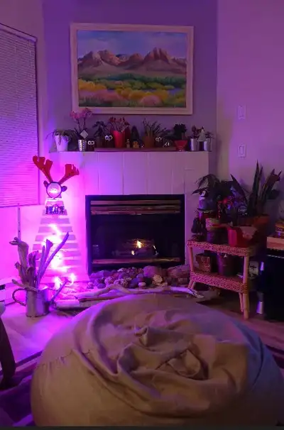 Bright, Cozy Master Bedroom for Rent in Brock on Aug 1st