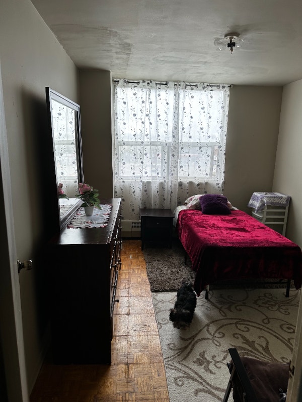 Room For Rent Room Rentals & Roommates City of Toronto Kijiji