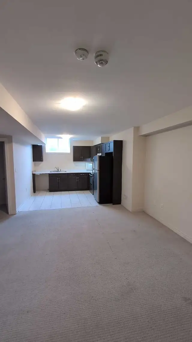 Painter, construction525303516664309768