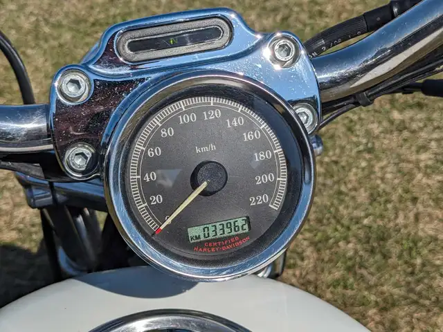 2006 Harley Davidson 1200 Sportster in Street, Cruisers & Choppers in St. Albert - Image 7
