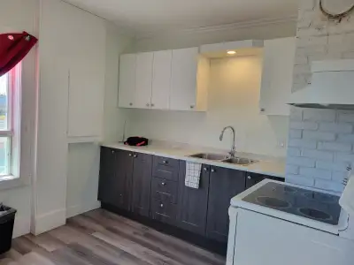 Logement 4-1/2 à louer à Taschereau, disponible à partir du 1 juillet 2025 Non chauffé Non éclairé