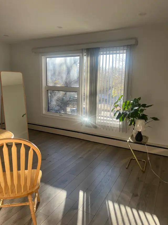 1 bed 1 bath Apt Sublet in Corydon Dec 1st!