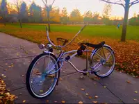 Chrome and Gold 26” Custom Lowrider Bike