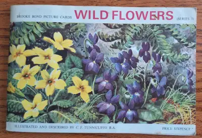 1964 PG Brooke Bond Teacards Album " British Wildflowers ", View more