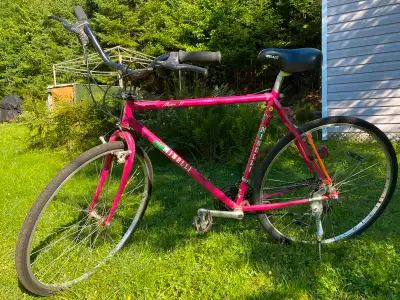 Vélo hybride Minelli (Mojave 21), 30po, 21 vitesses (3 plateaux), View more