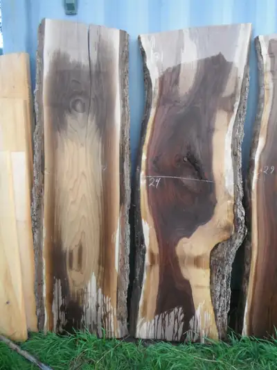 Live edge walnut slabs for table tops, counters, islands and shelves. Slabs have been wetted so you...
