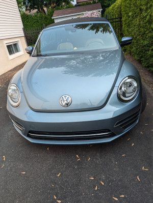 2019 Volkswagen Beetle Wolfsburg