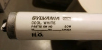 Sylvania F48T12 60-W Double Contact 48 T12 Fluorescent