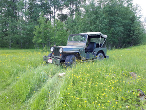 1952 Willys M38CDN jeep