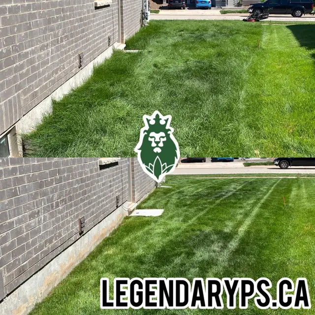 Grass Cutting Starting as low as $40 Weekly62865710227201122