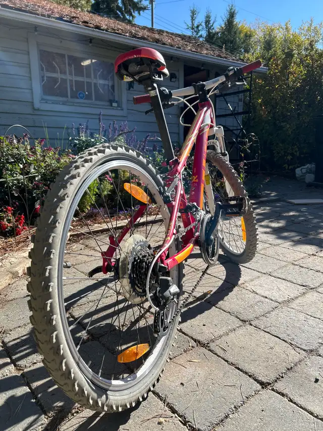 Cube Race 240 in Kids in Edmonton - Image 4