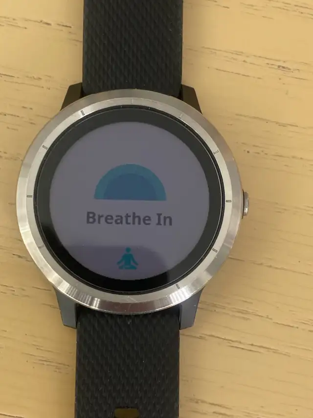 Garmin Vivoactive 3 Smartwatch /Fitness Watch/GPS /Garmin Pay in Jewellery & Watches in Markham / York Region - Image 9