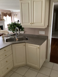 Selling kitchen cabinets.