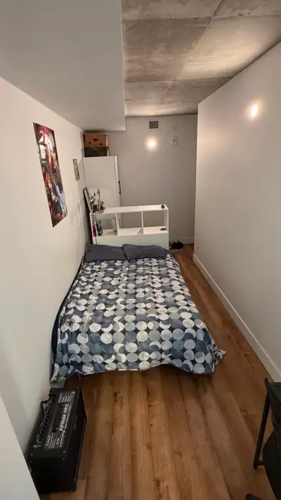 Downtown Apartment for Lease-Transfer/Sub-lease! Renewal available Available June 1st - Aug 26th 202...