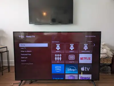 The TV works great, but there's about a 4 inch mark on the screen that is always green (there was a...