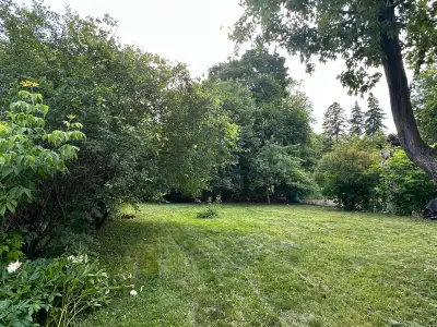 Newly Renovated 2- Bedrooms Full Basement