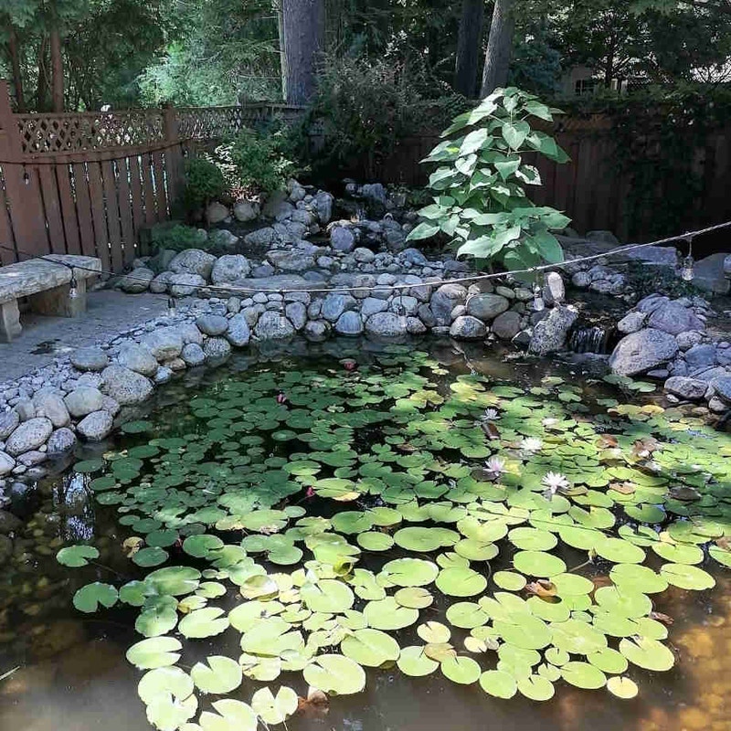 Landscaping Services Lawn, Tree Maintenance & Eavestrough