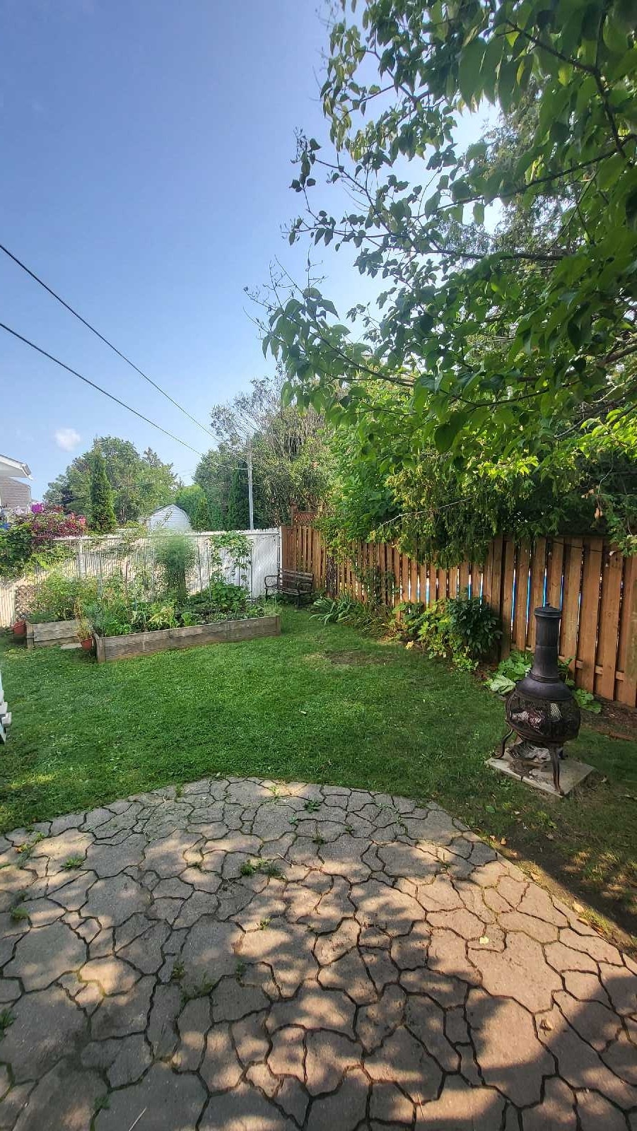 6 1/2 semi-meublé avec garage et cour privée métro Cartier — photo 1