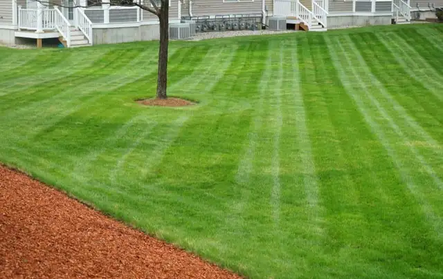 Grass Mowing408442201063434242
