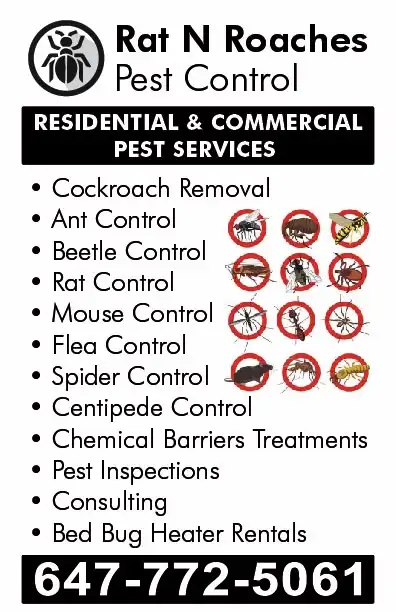 Rat N Roaches Pest Control Services478192057325998080