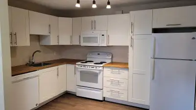 1 Bedroom Downtown Halifax
