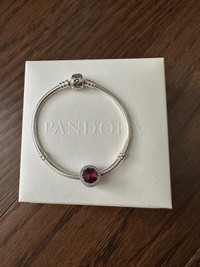 Pandora Charm Bracelet with 1 Charm (Rarely Used)