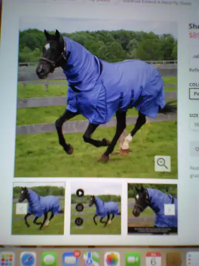 Horse. Fly  blanket, View more