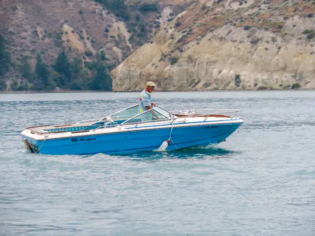 1978 SeaRay Boat in Powerboats & Motorboats in Cranbrook - Image 4